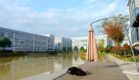 “绽放微笑 快乐工作”║奥联微笑日活动