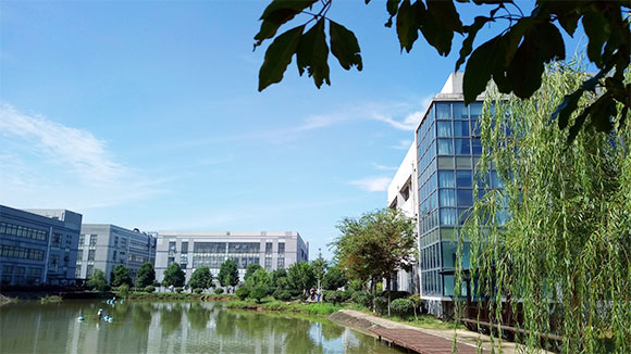 喜讯！星空体育手机网页版·（中国）官方网站向特定对象发行股票获得注册批复！